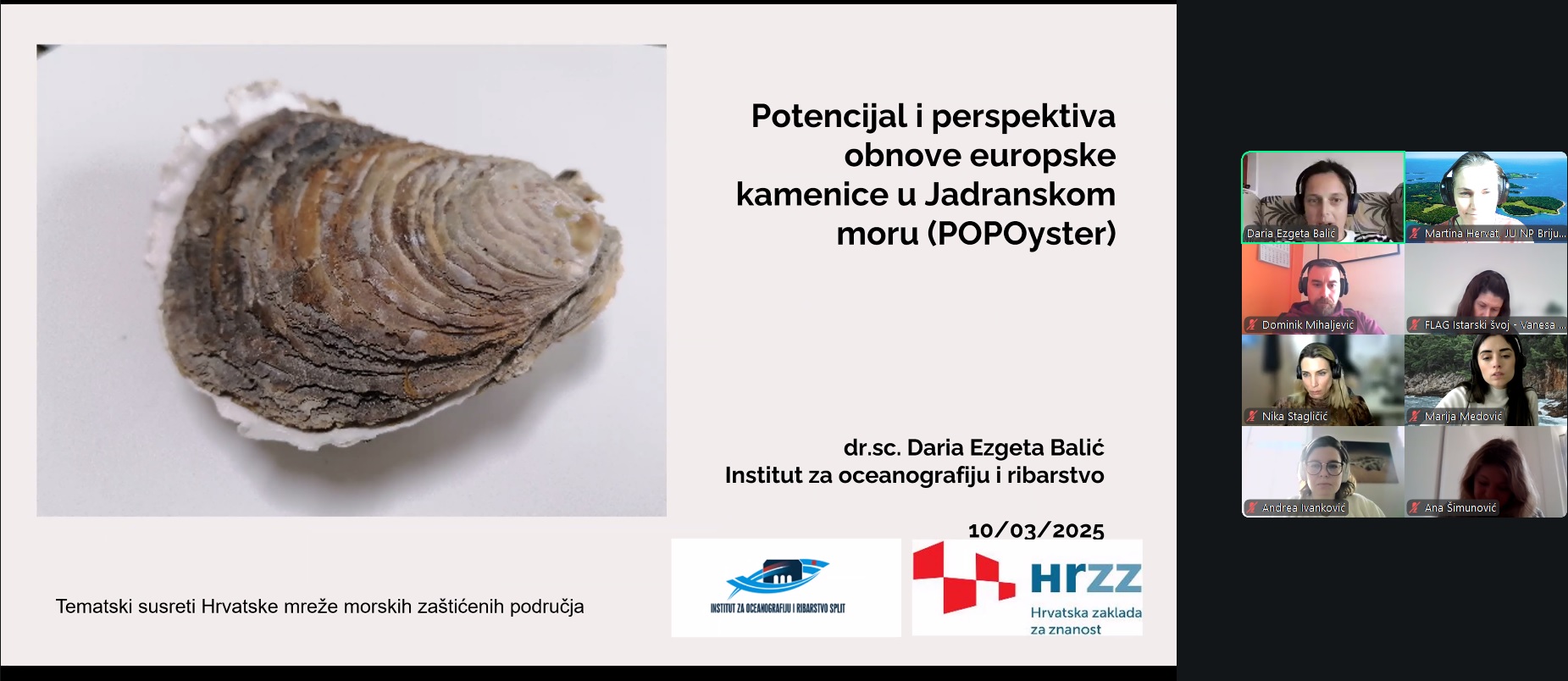 Restoration of the European Flat Oyster in the Adriatic Sea – Challenges, Opportunities, and New Scientific Insights